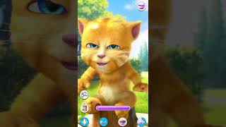 Ginger cat sound funny video talking tom shortsvideo [upl. by Ayit]