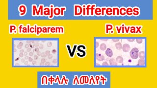 9 basic differences of P Vivax and P Falciparum  በቀላሉ በአማረኛ [upl. by Ramah806]