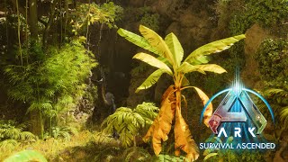 The INDORAPTOR is Guarding the CAVE ARK Survival Ascended Episode 20 [upl. by Morril]