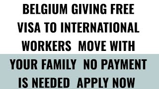 How To Apply For Belgium Work Visa 2024 Job Opportunities [upl. by Chun815]