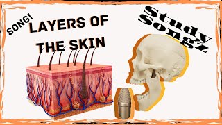 Layers of the Skin SONG  Epidermis Dermis Hypodermis Study Songz [upl. by Aufa]