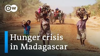 Climate change or politics  Why Madagascar is going hungry  DW Documentary [upl. by Kaleena782]