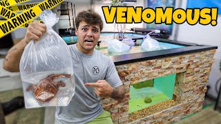 Buying VENOMOUS FISH for My SALTWATER POND [upl. by Eenehs]