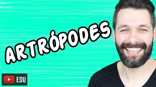 ARTRÓPODES  INTRODUÇÃO  ZOOLOGIA  Biologia com Samuel Cunha [upl. by Nytsua439]