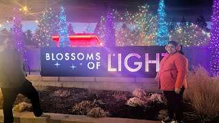 Blossom of lights 2023  Denver Botanic Garden 2023  USA diaries [upl. by Nalid]