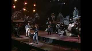 Bonnie Raitt amp John Hiatt  Thing Called Love Live at Farm Aid 1990 [upl. by Hcirteid]