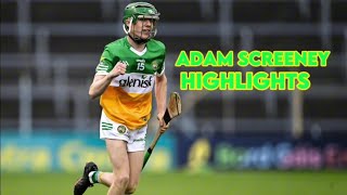 Adam Screeney Offaly Highlights [upl. by Prochoras]