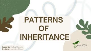 Patterns of inheritance  DNA genes and inheritance  meriSTEM [upl. by Dekow]