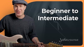 Beginner to Intermediate Guitar Player Bridge The Gap [upl. by Portingale]