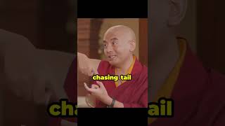 ☸️In this reel Mingyur Rinpoche is talking about embracing panic a meditation approach ☸️ [upl. by Nekcerb]