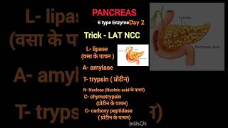 Pancreas enzyme pancreasdigestivesystem bpsctre4bpscscience [upl. by Sension608]