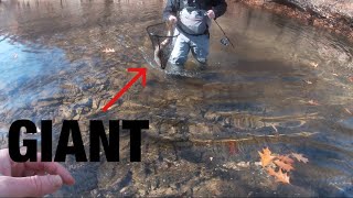 The craziest trout fishing I’ve ever experienced West Virginia Trout Fishing [upl. by Sigler]