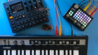 🔴 LIVE  fun with ZOIA amp Digitakt II amp reface CP [upl. by Olsewski304]