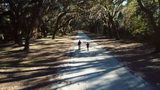 Wormsloe Historic Site Savannah [upl. by Theodora]