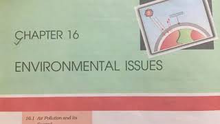 Ch 16 Environmental Issues Class 12 Ncert reading only [upl. by Teahan]