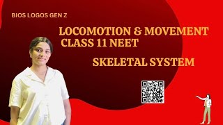 Locomotion amp movement Class 11 Skeletal System NEET CBSE Biology [upl. by Lobiv966]