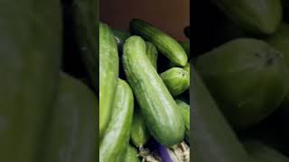 COURGETTE  LE LÉGUME SOUSESTIMÉ AUX 10 MILLIARDS DE BIENFAITS POURQUOI ON PASSE À CÔTÉ [upl. by Oaoj587]