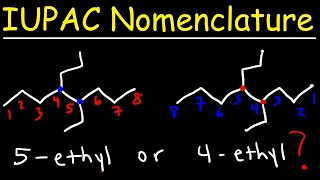 Complete Class 12 Organic Chemistry One Shot Theory  PYQs of January 2024  Vora Classes jee [upl. by Nabla]