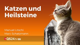 Katzenliebe und Fürsorge Die Rolle von Heilsteinen und artgerechter Fütterung  QS24 [upl. by Greenes]