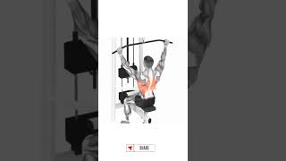 shorts Back Workout To Build It Wider [upl. by Ailati]