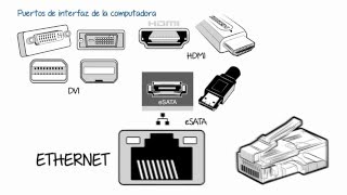 Puertos de Interfaz de la Computadora [upl. by Rodgiva]