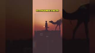 aak oont na nabi saw sa kia shikayat ki shorts islamicfacts0 [upl. by Loseff]