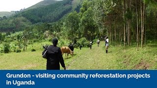 Grundon  Visiting community reforestation projects in Uganda [upl. by Onofredo940]