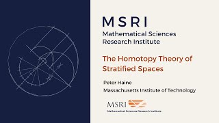 The Homotopy Theory of Stratified Spaces [upl. by Thornburg200]