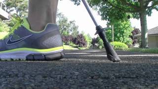 Modified Nordic Walking Technique for Older Adults [upl. by Boarer]