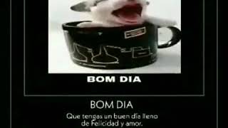 BOM DIA1 [upl. by Damick]