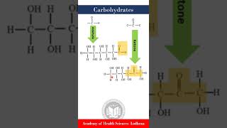 What are Carbohydrates biochemical definition  Biochemistry  by Imran Yaseen [upl. by Fagaly]