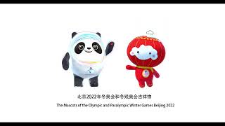 2022北京オリンピックパラリンピックマスコット 2022 Beijing Olympics and Paralympics mascot quotBing Dwen DwenquotquotShuy Ron Ronquot [upl. by Yuht80]