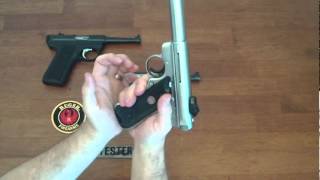 Ruger 2245 vs Ruger Mark III [upl. by Levitan17]