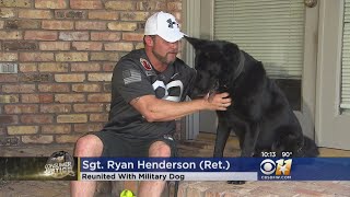 Military Dog Reunited With Soldier 5 Years Later [upl. by Kamila]