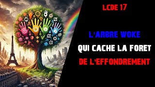 LCDE17  Larbre Woke qui cache la forêt de lEffondrement  Spéciale JO [upl. by Grange]