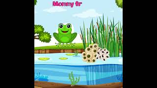 Silly School Songs  Life Cycle of a Frog learning shorts sciencefacts [upl. by Ahsratan456]