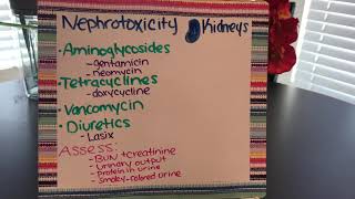 Nephrotoxicity [upl. by Noorah]