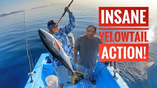 INSANE Yellowtail action in Loreto day2 [upl. by Stalk866]