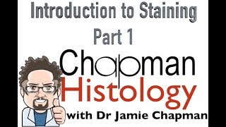 3 Min Histology Intro To Staining 1 [upl. by Akzseinga]