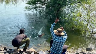 Best float fishing for Rohu fishes  single hook fishing [upl. by Nagud]