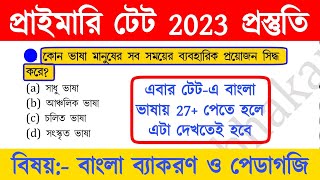 primary tet preparation 2023  wb primary tet preparation 2023  primary tet bengali pedagogy [upl. by Aunson905]