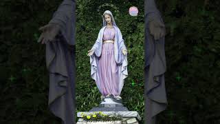 O Maria Donna dei giorni feriali Liberaci dalla tentazione 🙏 gesù 😇 madredidio [upl. by Labotsirc]