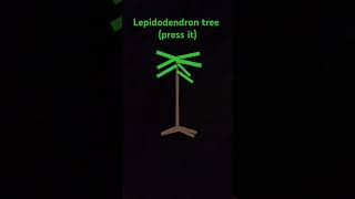 lepidodendron tree [upl. by Mccollum]