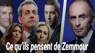 Ce que les adversaires d’Eric Zemmour pensent de lui [upl. by Nosmoht307]