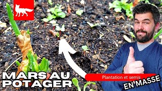 MARS au POTAGER SAISON 3 potager permaculture jardin [upl. by Ahsiea]