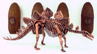 Dinosaur surprise Eggs Skeleton fossils Stegosaurus and Tyrannosaurus Part 1 [upl. by Ahsennod335]