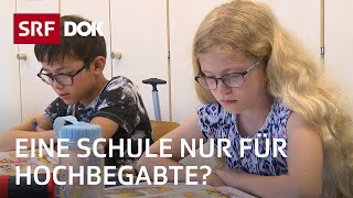 Talenta – Eine Schule für Hochbegabte  Förderung hochbegabter Kinder  Reportage  SRF [upl. by Idihsar43]