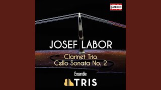 Clarinet Trio in E Minor I Allegro comodo [upl. by Fuld801]