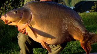 Korda  Carp Tackle Tactics amp Tips Vol 5 Part 2  2012 Free Carp Fishing DVD [upl. by Lemaj]