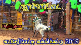 புதுக்கோட்டை வடசேரிப்பட்டி ஜல்லிக்கட்டு 2019 Pudhukottai Vadaseripatty Jallikattu 2019 Highlights [upl. by Bazluke]